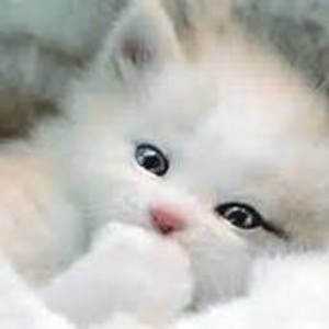 Meet your Posher, Huong